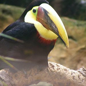 Safari Zoological Center 30.1.10