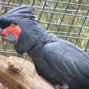 Safari Zoological Center 30.1.10