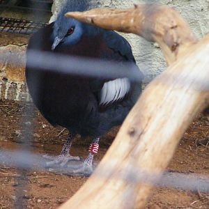 Safari Zoological Center 30.1.10