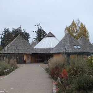 Pygmy Hippo Building Viewed from Outside