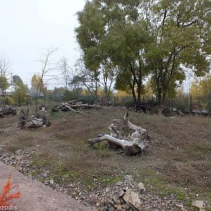 Warthog Outdoor Yard