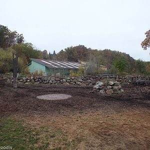 Indian Rhino Paddock