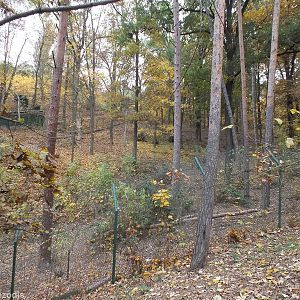 Part of Wooded Brown Bear Enclosure