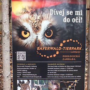 Advert for Another Zoo