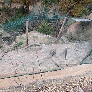 View of the Snow Leopard Exhibit from Above