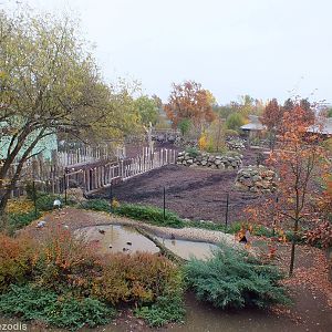 Waterfowl Enclosure with Indian Rhino Outdoor Yard Behind