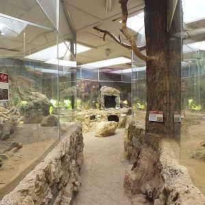 View of the Sonora House