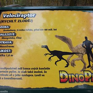 Example Sign in the DinoPark