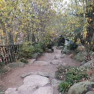 View Down Path to the Czech Fish Area