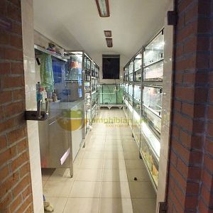 View into the 'Amphibian Ark'