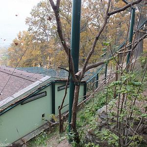 Walkthrough Outdoor Area Outside the 'Amazonia' Building