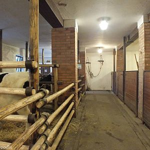 Part of Indoor Barn area at the Luftnerka Farmhouse