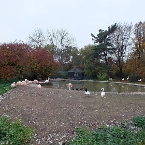 Waterfowl Pool
