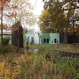 Chimpanzee Outdoor Area