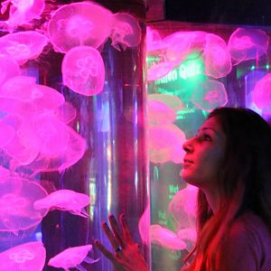 Enjoying the jellyfish