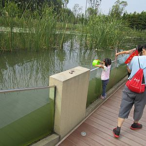 Park with sunken walkway, Changzhou
