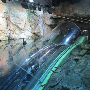 Escalator descending through Australia Tank