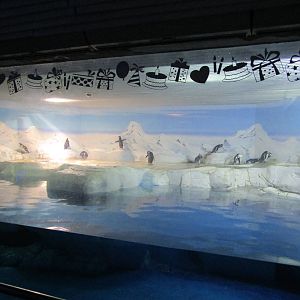Megallenic Penguin Enclosure