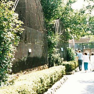 Baboon Pens Chester Zoo July 1987