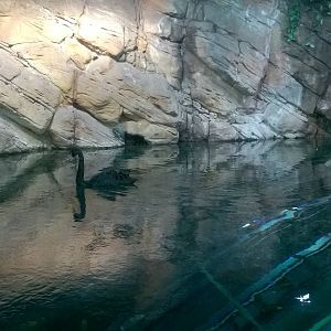 WP_20151115_15_52_30_Smart