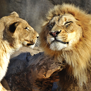 Nov. 2015 - Africa - John and his Daughter