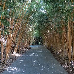 Tiger Trail - Main Entrance