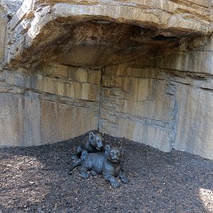 Tiger Trail - Illegal Logging Camp-themed Children's Play Area