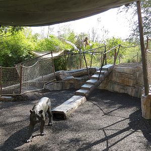 Tiger Trail - Illegal Logging Camp-themed Children's Play Area