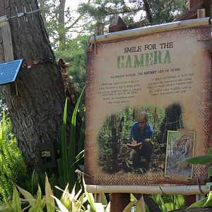 Tiger Trail - Camera Trap Interpretive Display
