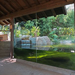 Tiger Trail - Second Sumatran Tiger Exhibit