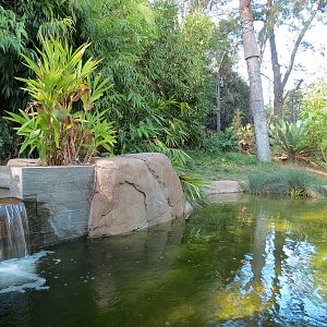 Tiger Trail - Second Sumatran Tiger Exhibit