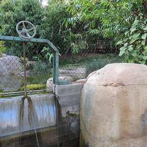 Tiger Trail - Second Sumatran Tiger Exhibit
