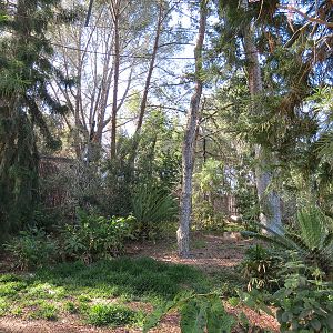 Tiger Trail - Second Sumatran Tiger Exhibit