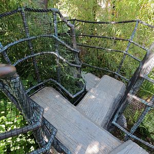 Tiger Trail - First Sumatran Tiger Exhibit - Visitor Path