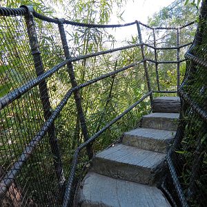 Tiger Trail - First Sumatran Tiger Exhibit - Visitor Path