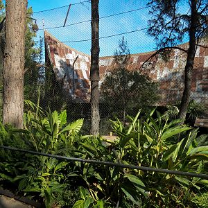 Tiger Trail - First Sumatran Tiger Exhibit