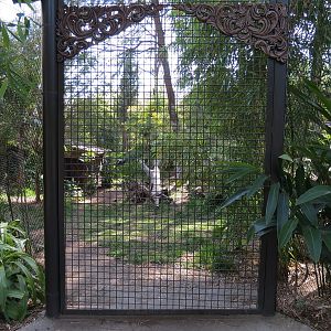 Tiger Trail - First Sumatran Tiger Exhibit - Interaction Wall