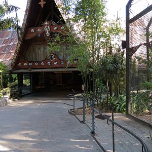 Tiger Trail - Sambutan Longhouse