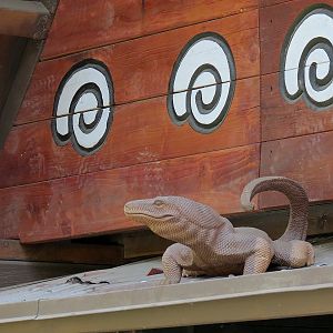 Tiger Trail - Sambutan Longhouse