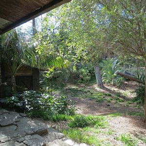 Tiger Trail - First Sumatran Tiger Exhibit