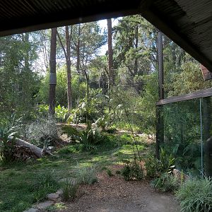 Tiger Trail - First Sumatran Tiger Exhibit