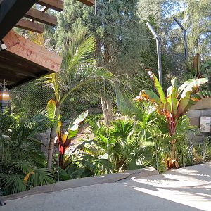 Tiger Trail - Second Sumatran Tiger Exhibit