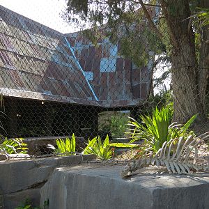 Tiger Trail - Second Sumatran Tiger Exhibit