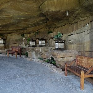 Tiger Trail - Third Sumatran Tiger Exhibit - Waterfall Viewing Area
