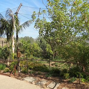 Tiger Trail - Third Sumatran Tiger Exhibit