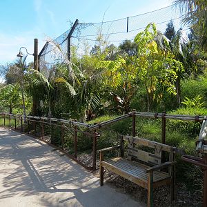 Tiger Trail - Third Sumatran Tiger Exhibit