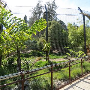 Tiger Trail - Third Sumatran Tiger Exhibit