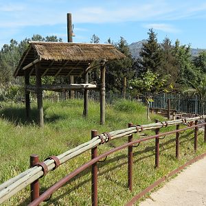 Tiger Trail - End of Path