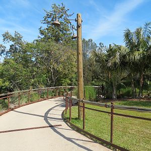 Tiger Trail - End of Path