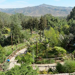 Tiger Trail - End of Path Overview